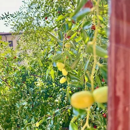 Apartamento Da Antonella *